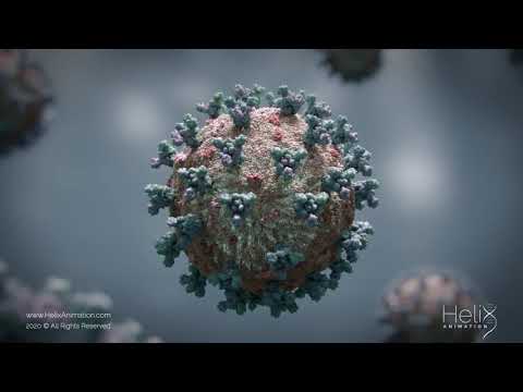 how is coronavirus spread